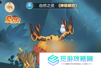 以猎人手游念拳师时装属性怎么选（解读猎人手游念拳师时装属性的可选属性推荐）